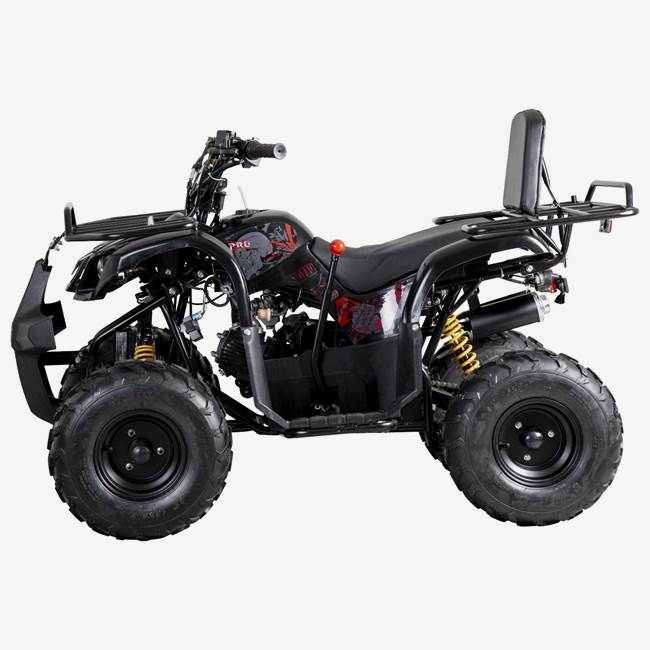 X-Pro ATV X-Pro Worker 110cc - Sort