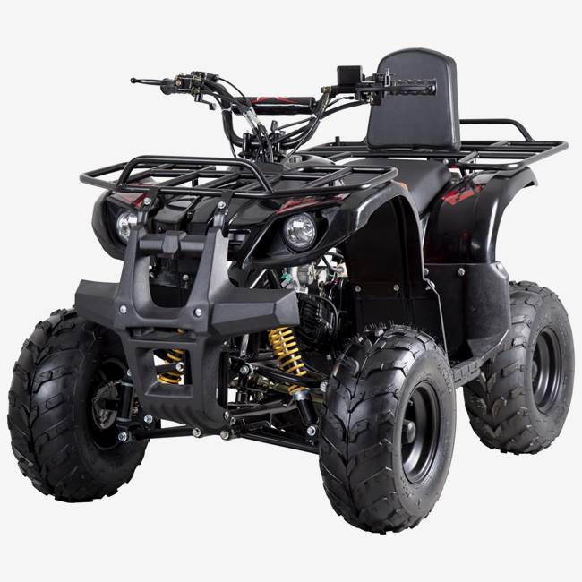 X-Pro ATV X-Pro Worker 110cc - Sort