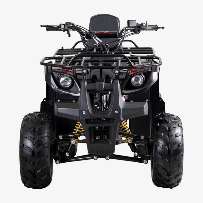 X-Pro ATV X-Pro Worker 110cc - Sort