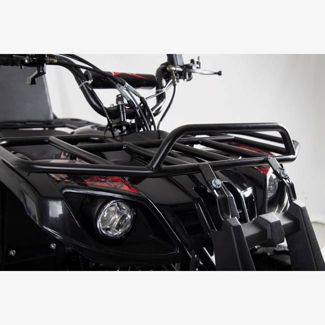 X-Pro ATV X-Pro Worker 110cc - Sort