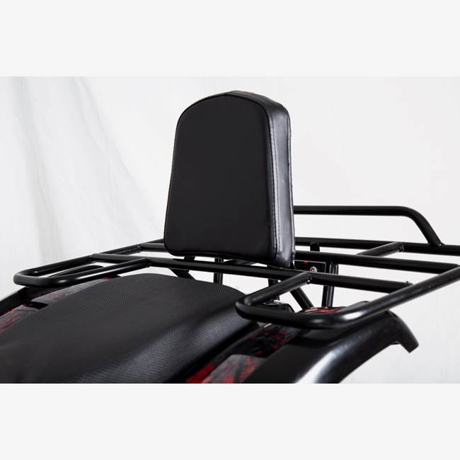 X-Pro ATV X-Pro Worker 110cc - Sort