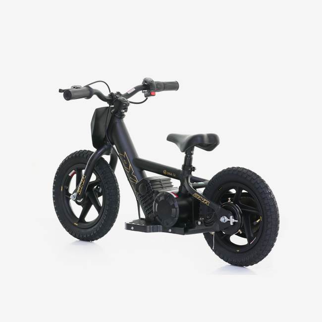 RFN Elektrisk Balanscykel 100W RXF DNA 12" Svart/Guld - 15 km/h