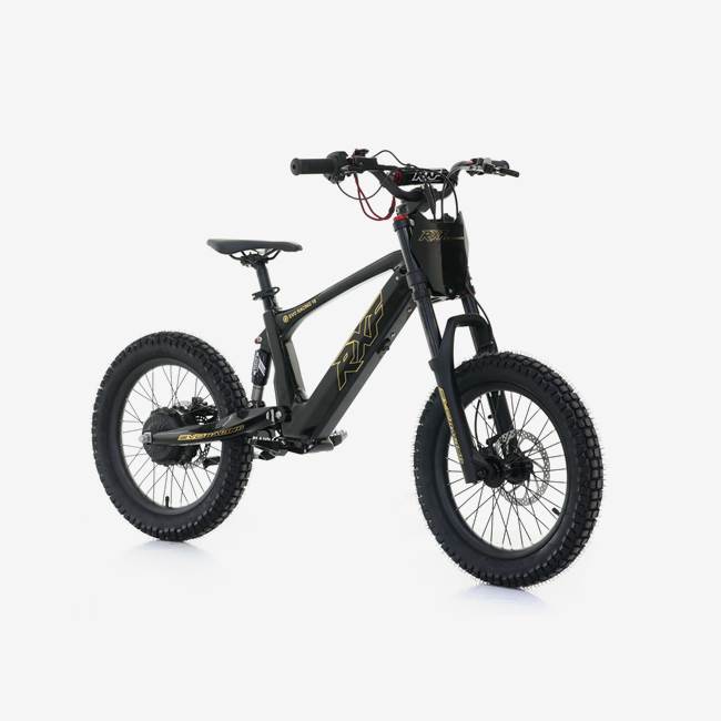 RFN Sähköinen Stunt Pyörä 500W RXF EVO 18" Musta/Kulta - 30 km/h