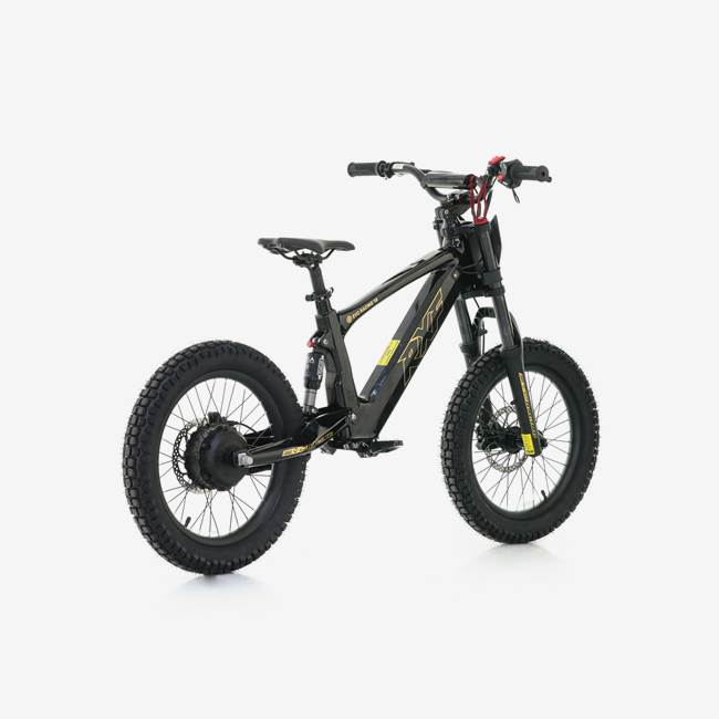 RFN Sähköinen Stunt Pyörä 500W RXF EVO 18" Musta/Kulta - 30 km/h