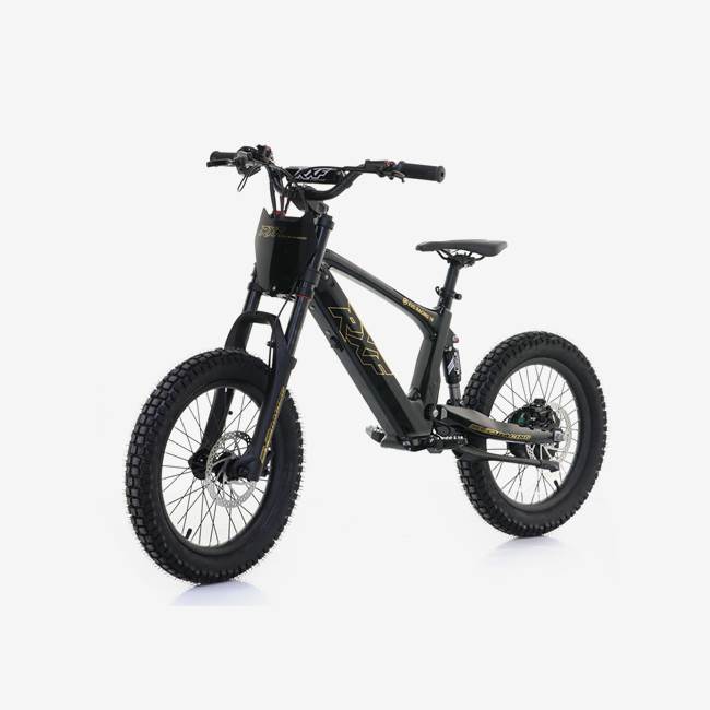 RFN Sähköinen Stunt Pyörä 500W RXF EVO 18" Musta/Kulta - 30 km/h