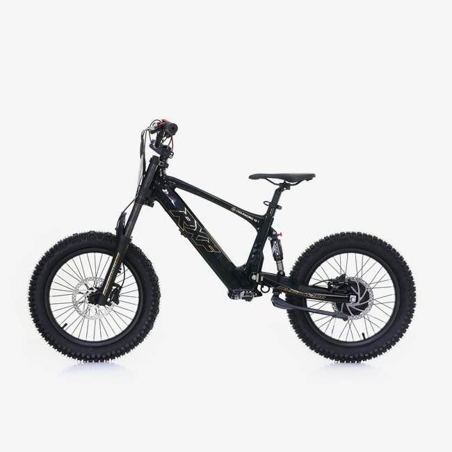 RFN Sähköinen Stunt Pyörä 500W RXF EVO 18" Musta/Kulta - 30 km/h
