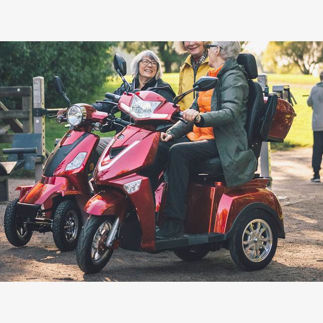 Skand Promenadscooter Skand Leijona 1400