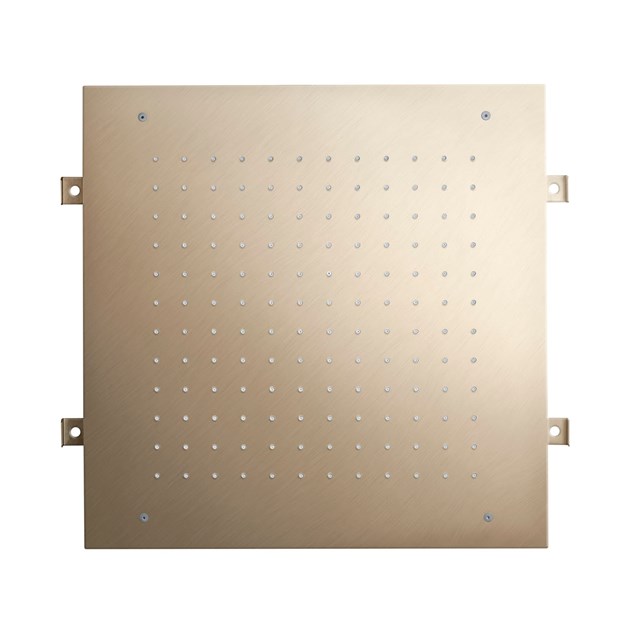 Brusehoved Tapwell ZSOF094 indbygning Loft Brushed Nikkel