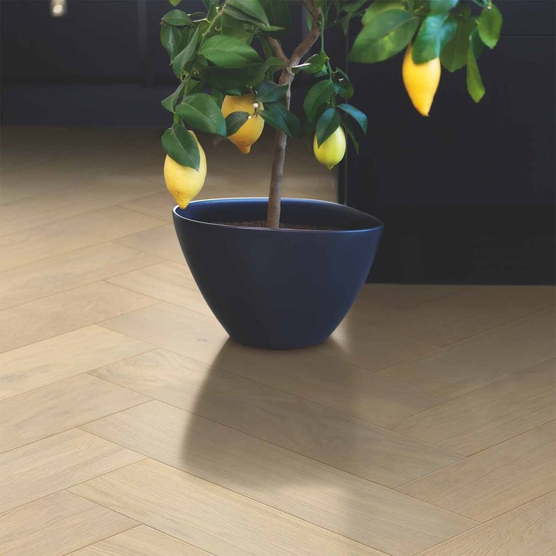 Sildebensparket Pergo Saltholm Lys Eg Matlak