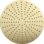 Loftbruserhoved Tapwell ZSOF250 Honey Gold