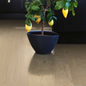 Parketgulv Pergo Falster Harbourside Oak 1-Stav Ekstra Matlak