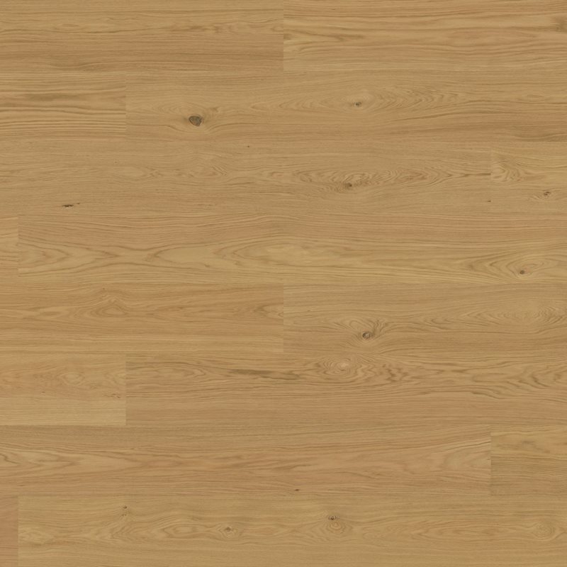 Hærdet Trægulv Bjelin Viken 3.0 XXL Eg Hårdvoksolie 1-Stav