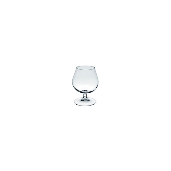 Exxent Cognacglas 41 cl Degustation,