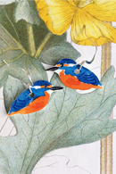 Earrings birds hook Kingfisher