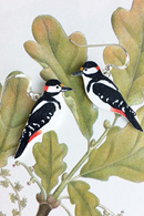 Earrings birds hook Woodpecker