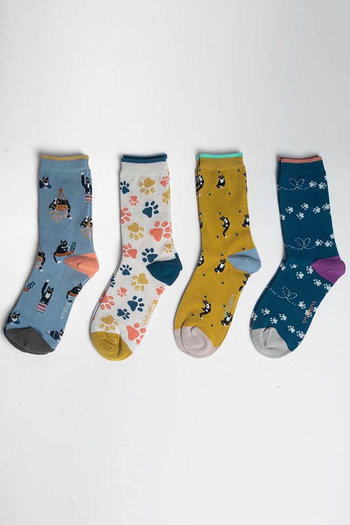 Gift box socks 4-pack Sasha Cat