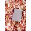Box mit Satinband, Rose Water