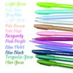 Pentel Brush Sign Fiberpen