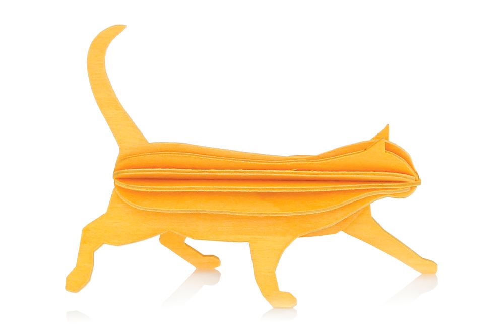 Lovi Katze, Warmes Gelb