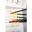 Brush lettering workbook, Clover Green, Gold