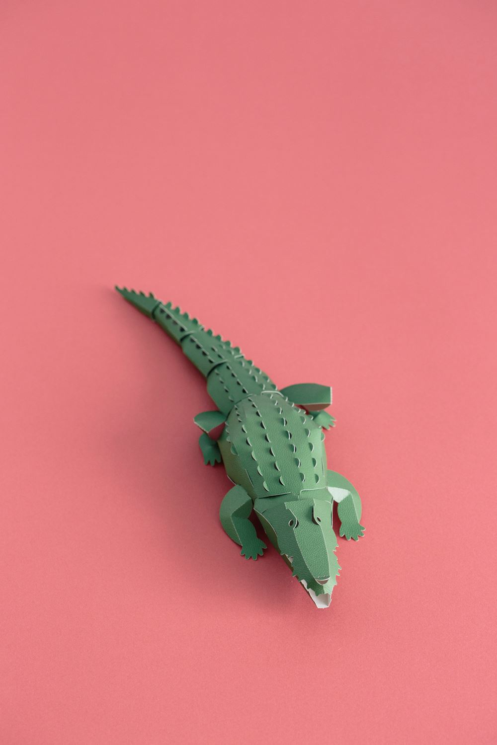 Bookbinders Design - Top To Tail, Crocodile