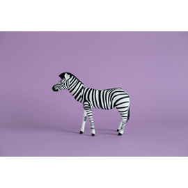 Top To Tail, Zèbre