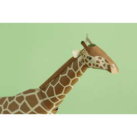 Top To Tail, Girafe