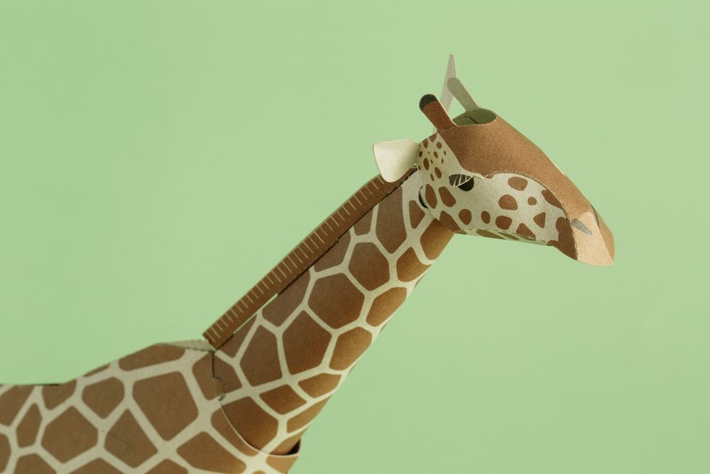 Top To Tail, Girafe