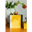 Carnet toilé, Sun Yellow/Ivory