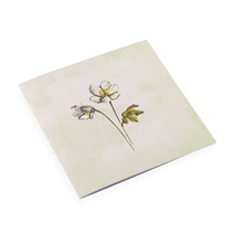 Cotton Paper Card, Windflower