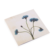 Cotton Paper Card, Cornflower