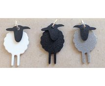 CHARM SHEEP