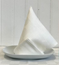NAPKIN/CLOTH 45X45CM SQUARE 2-P