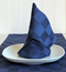 NAPKIN/CLOTH 45X45CM SQUARE 2-P