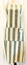 FÖRKLÄDE M.FICKOR STRIPE BEIGE/M.GRÖN