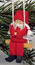 SANTAGIRL IN SWING RED