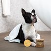 HappySoaps Dog Shampoo Bar for Short haired, 70 g