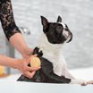HappySoaps Dog Shampoo Bar for Short haired, 70 g