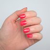 Avril Blush for Nails - Hibiscus, 7 ml