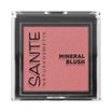Sante Mineral Blush, 5 g