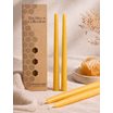 The Hive Collection Kronljus Bivax ca. 2,2 x 23 cm, 4-pack