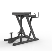 IFP1619 REVERSE HYPEREXTENSION