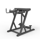 IFP1619 REVERSE HYPEREXTENSION