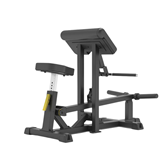 IFP1501 BICEPS CURL