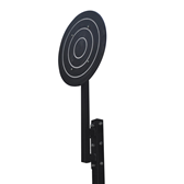 WALL BALL TARGET