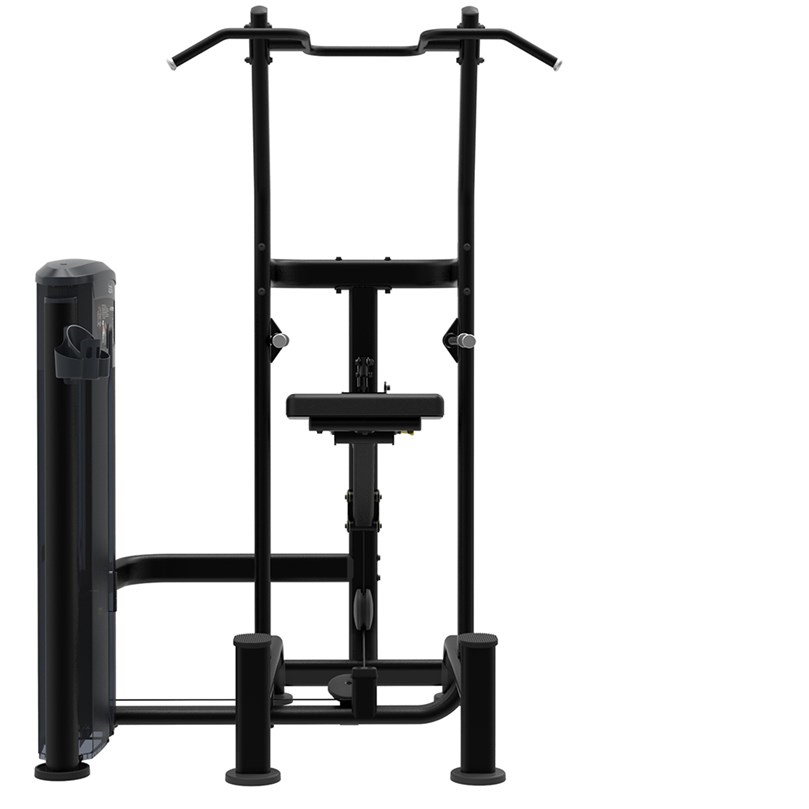 IMPULSE IT9520 WEIGHT ASS CHIN/DIP