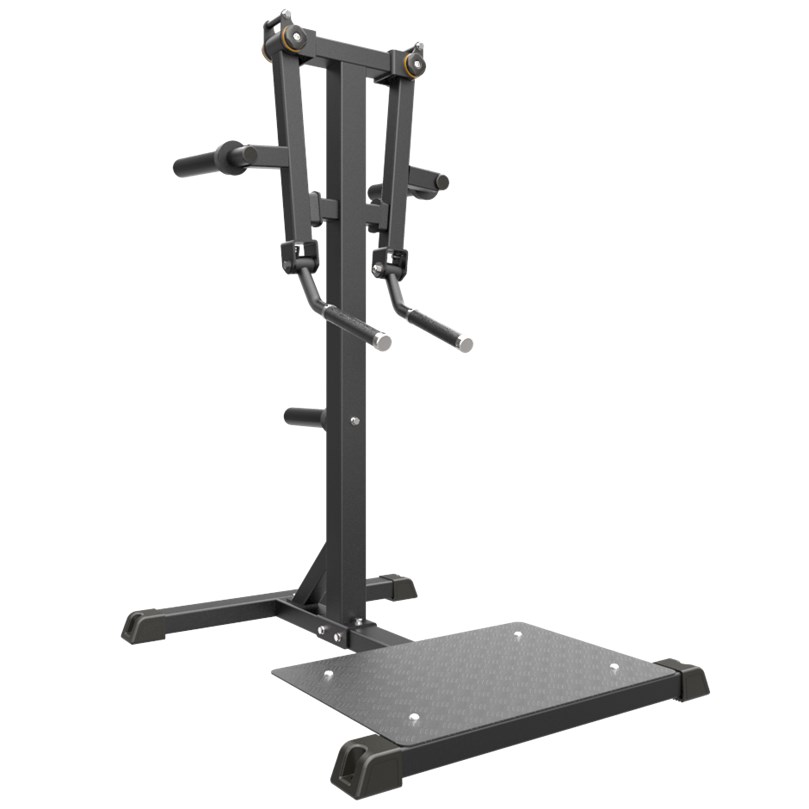 IFP STANDING LATERAL RAISE BLACK