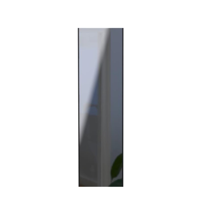 X22 MIRROR