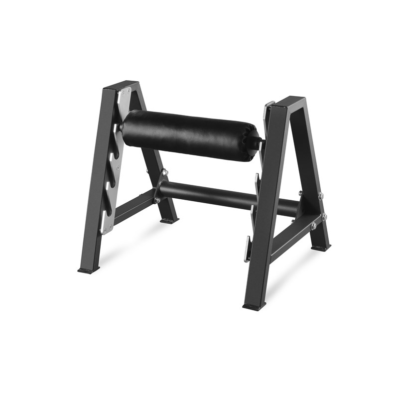 SPLIT SQUAT