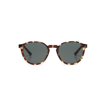 KOMONO Liam Tortoise